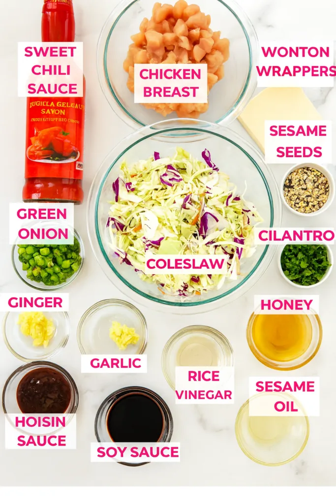 Crispy Chicken Wonton Tacos