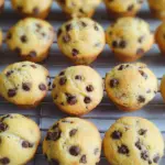Mini Chocolate Chip Muffins